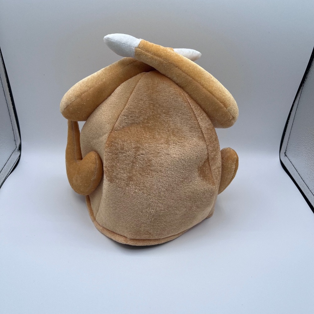 Thanksgiving Turkey hat